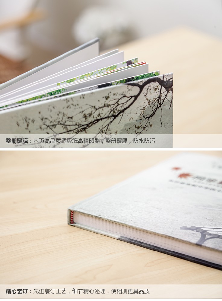 企業(yè)宣傳冊印刷 企業(yè)宣傳冊印刷
